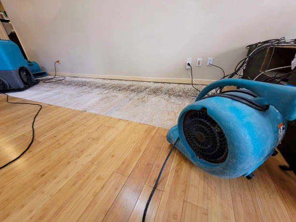 Professional Water Damage Repair technician working in Montgomery, OH